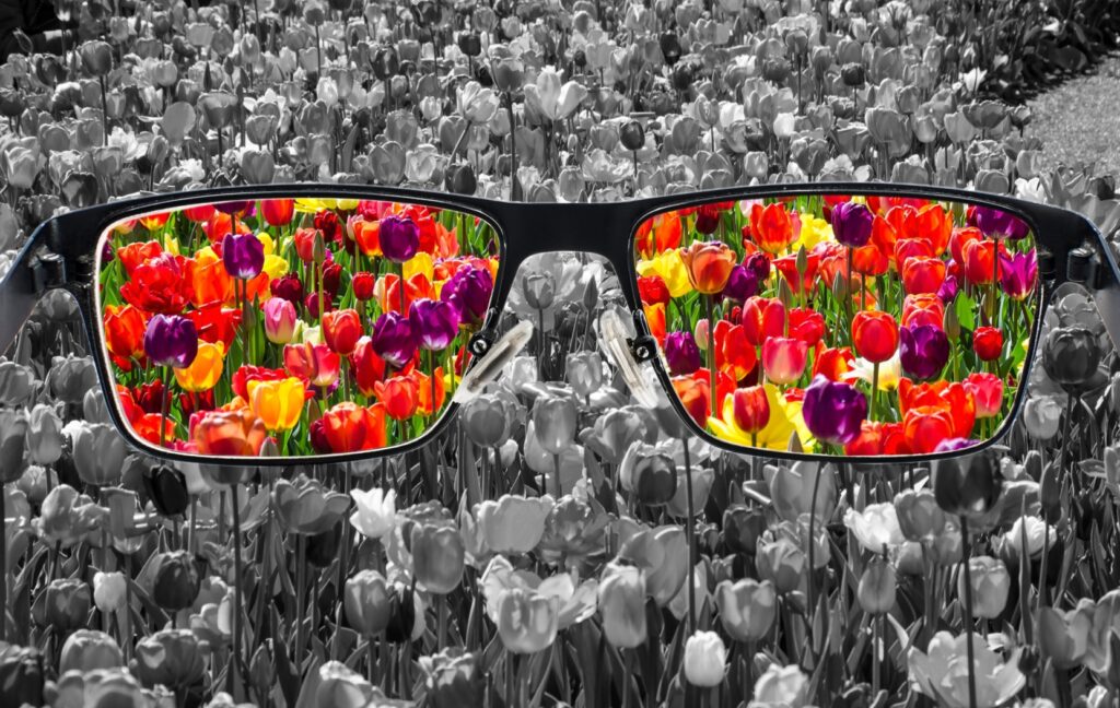 A pair of special glasses are held up over a grey scene to reveal brightly colored tulips.